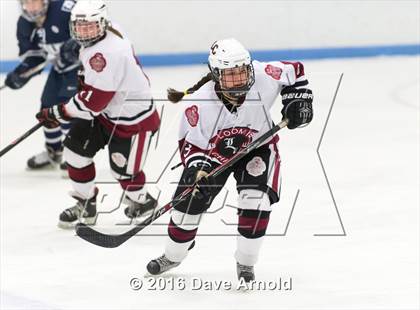 Thumbnail 1 in Noble & Greenough vs. Loomis Chaffee School (NEPSAC Division 1 Final) photogallery.