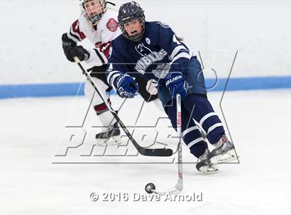 Thumbnail 1 in Noble & Greenough vs. Loomis Chaffee School (NEPSAC Division 1 Final) photogallery.
