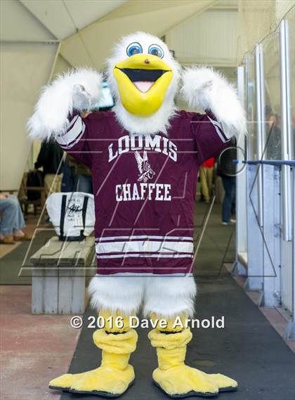 Thumbnail 1 in Noble & Greenough vs. Loomis Chaffee School (NEPSAC Division 1 Final) photogallery.