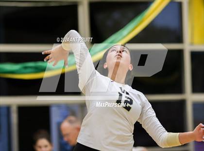 Thumbnail 3 in Windsor @ Maria Carrillo photogallery.