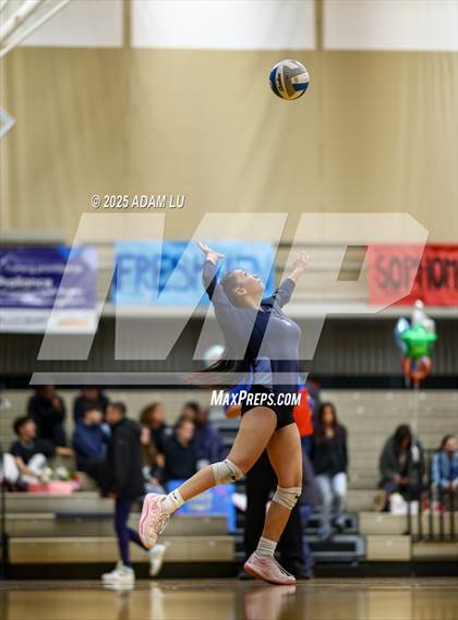 Thumbnail 3 in Foster @ Interlake photogallery.