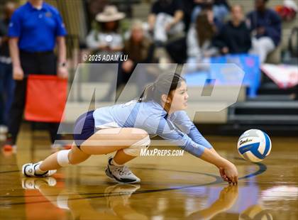 Thumbnail 3 in Foster @ Interlake photogallery.