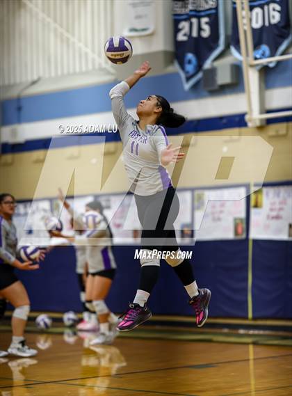 Thumbnail 3 in Foster @ Interlake photogallery.