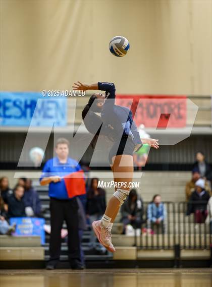 Thumbnail 1 in Foster @ Interlake photogallery.