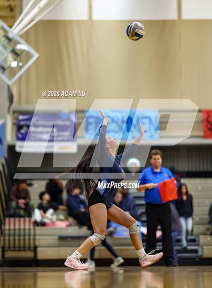 Thumbnail 3 in Foster @ Interlake photogallery.