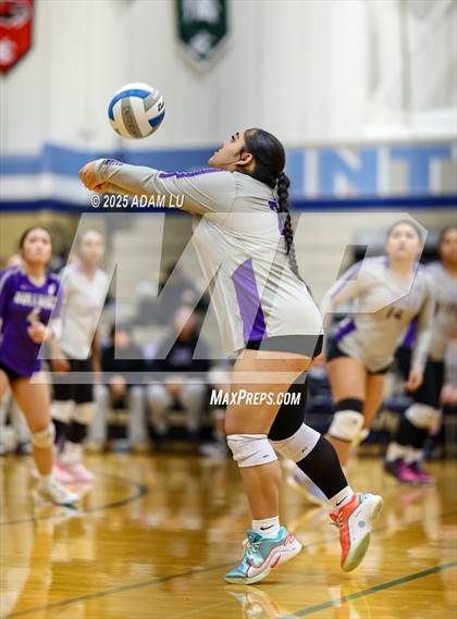 Thumbnail 3 in Foster @ Interlake photogallery.