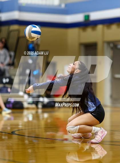 Thumbnail 1 in Foster @ Interlake photogallery.