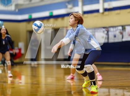 Thumbnail 2 in Foster @ Interlake photogallery.
