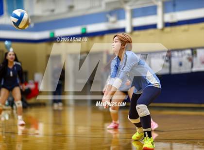 Thumbnail 1 in Foster @ Interlake photogallery.