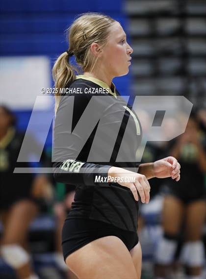 Thumbnail 3 in Basha @ Chandler photogallery.