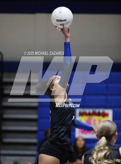 Thumbnail 3 in Basha @ Chandler photogallery.