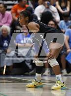 Photo from the gallery "Basha @ Chandler"