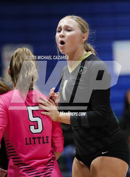 Thumbnail 2 in Basha @ Chandler photogallery.