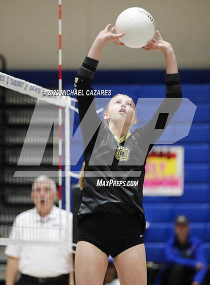 Thumbnail 1 in Basha @ Chandler photogallery.