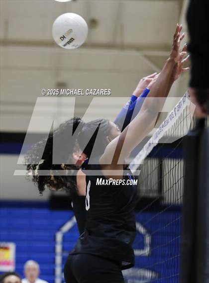 Thumbnail 1 in Basha @ Chandler photogallery.