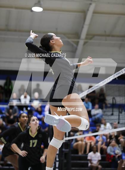 Thumbnail 2 in Basha @ Chandler photogallery.