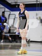 Photo from the gallery "Basha @ Chandler"