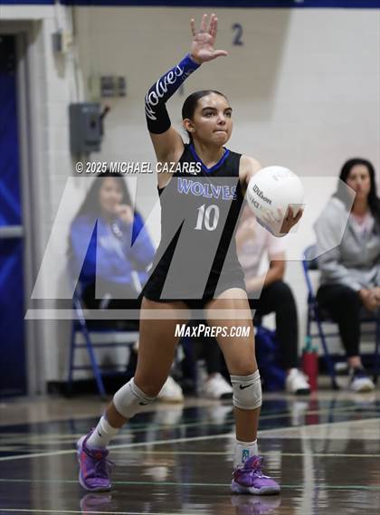 Thumbnail 1 in Basha @ Chandler photogallery.