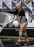 Photo from the gallery "Basha @ Chandler"