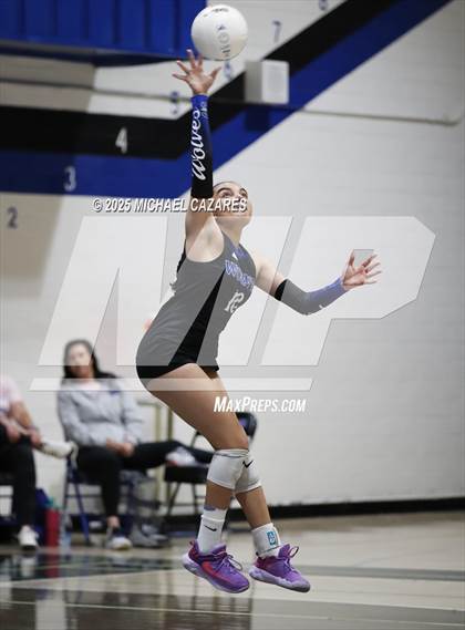Thumbnail 3 in Basha @ Chandler photogallery.