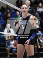 Photo from the gallery "Basha @ Chandler"