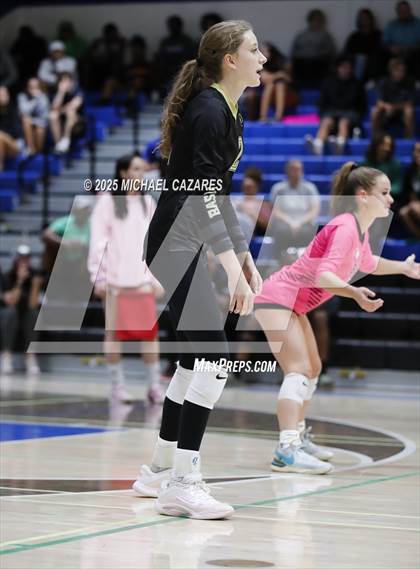 Thumbnail 2 in Basha @ Chandler photogallery.