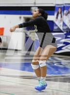 Photo from the gallery "Basha @ Chandler"