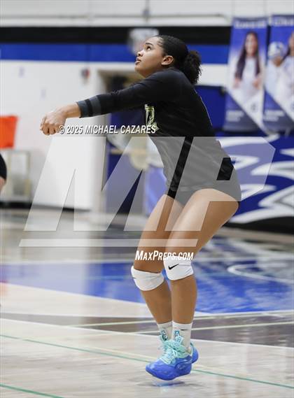 Thumbnail 1 in Basha @ Chandler photogallery.