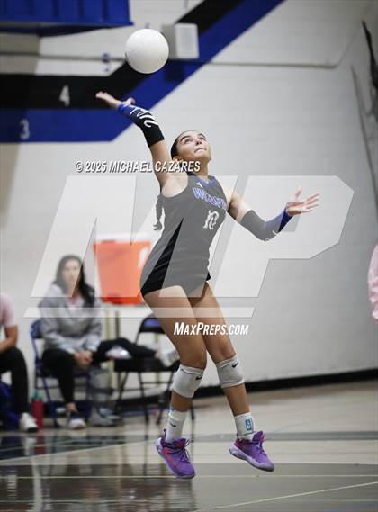 Thumbnail 2 in Basha @ Chandler photogallery.