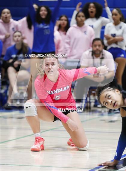 Thumbnail 2 in Basha @ Chandler photogallery.
