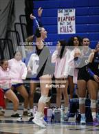 Photo from the gallery "Basha @ Chandler"