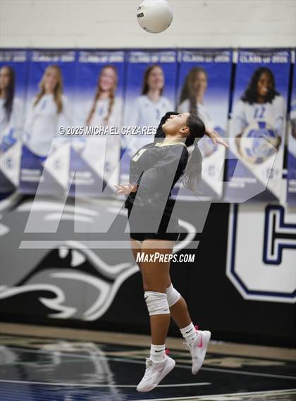 Thumbnail 2 in Basha @ Chandler photogallery.
