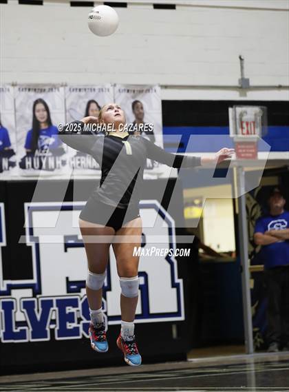 Thumbnail 1 in Basha @ Chandler photogallery.