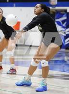 Photo from the gallery "Basha @ Chandler"