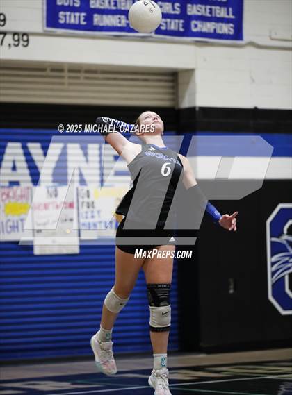 Thumbnail 2 in Basha @ Chandler photogallery.