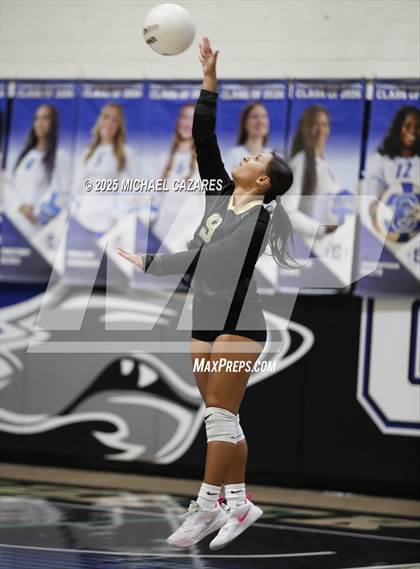 Thumbnail 3 in Basha @ Chandler photogallery.