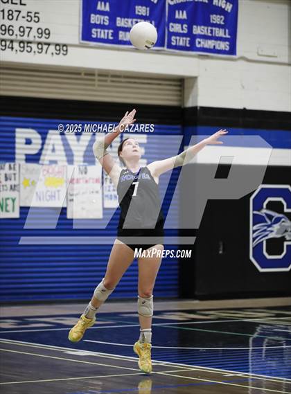 Thumbnail 2 in Basha @ Chandler photogallery.
