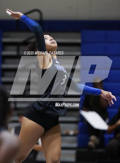 Thumbnail 2 in Basha @ Chandler photogallery.