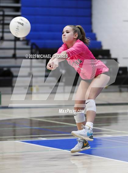 Thumbnail 3 in Basha @ Chandler photogallery.