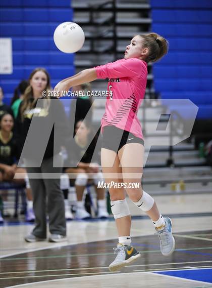 Thumbnail 1 in Basha @ Chandler photogallery.
