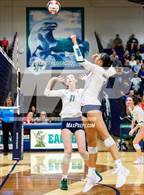 Photo from the gallery "Palmer Ridge @ Pine Creek"