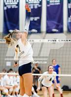 Photo from the gallery "Palmer Ridge @ Pine Creek"