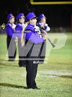 Photo from the gallery "Vian @ Warner"