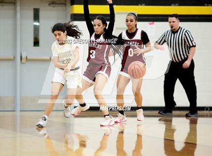 Thumbnail 3 in Lewisville vs Fossil Ridge photogallery.