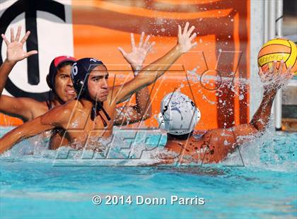 Thumbnail 3 in Montclair @ Chaffey photogallery.