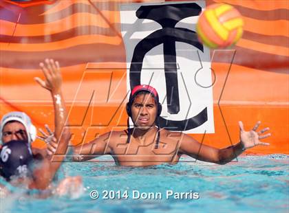 Thumbnail 3 in Montclair @ Chaffey photogallery.