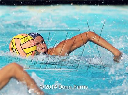 Thumbnail 3 in Montclair @ Chaffey photogallery.