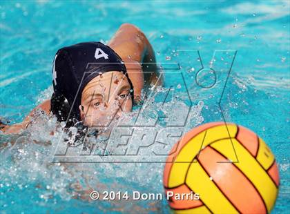 Thumbnail 2 in Montclair @ Chaffey photogallery.