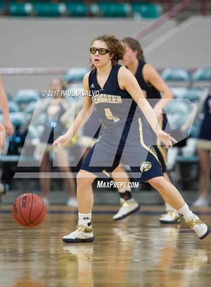 Thumbnail 1 in Evergreen vs. Pueblo South (CHSAA 4A Final) photogallery.