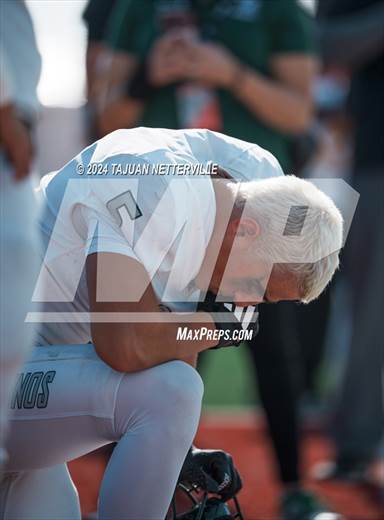 null - Photo 41